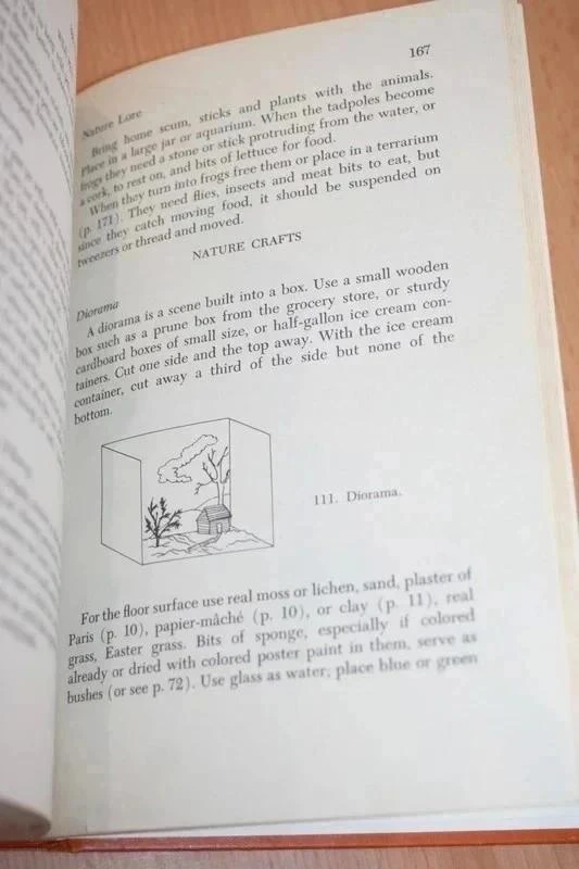 838 Maneras de Divertir a un Niño (Anglais) Johnson – photo 5